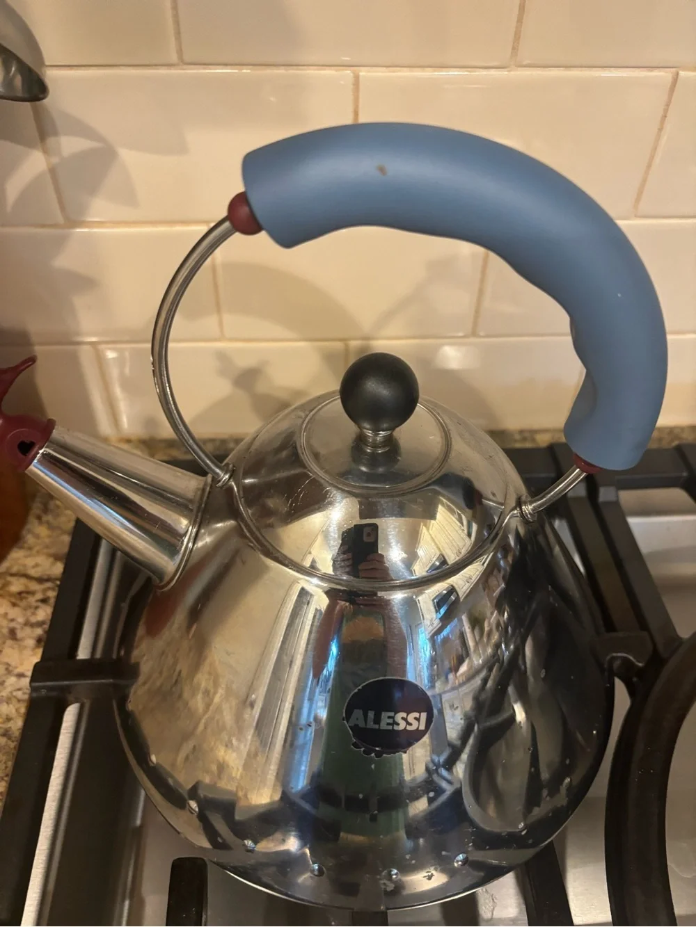 Alesia Blue-Handled Stainless Steel Whistling Tea Kettle
